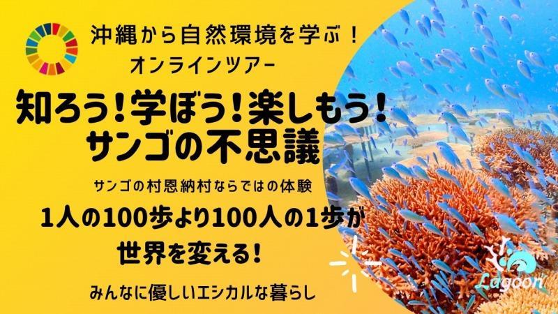 チケット【参加特典付き貸切オンラインツアー】沖縄から自然環境を学ぶ！サンゴの不思議【恩納村ラグーン】