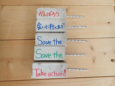 チケット サンゴ植付け ｜ 代行サービス 5株【恩納村ラグーン】