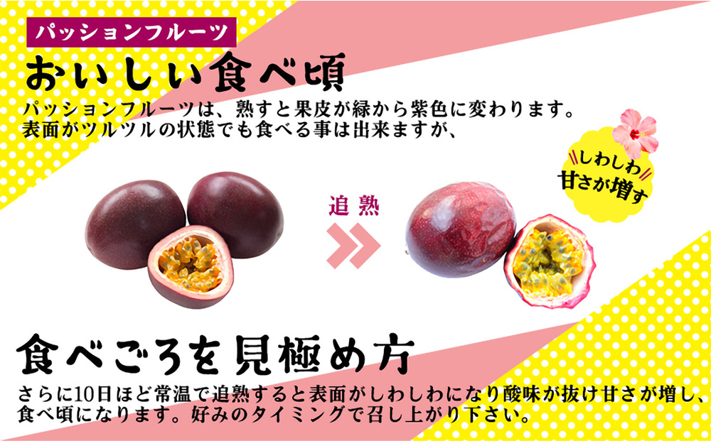 【2026年発送】産地認定！！恩納村産パッションフルーツ(約2kg)