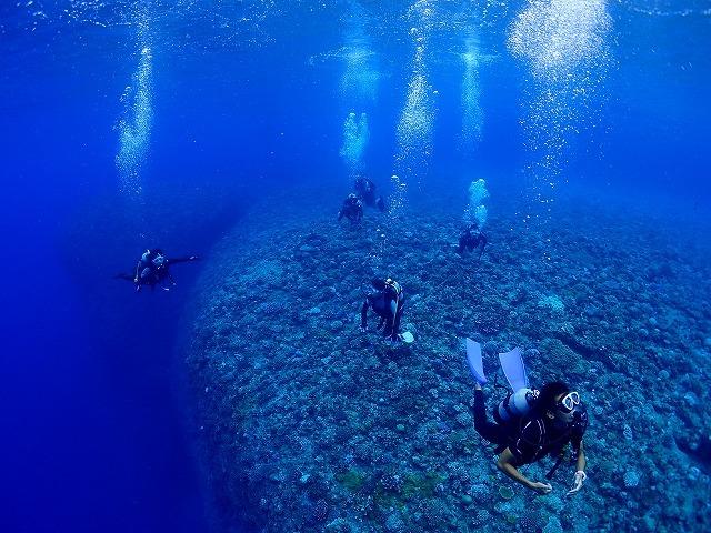チケット ファンダイビング ｜ 初級3DIVE 1名様 万座近海【恩納村ラグーン】