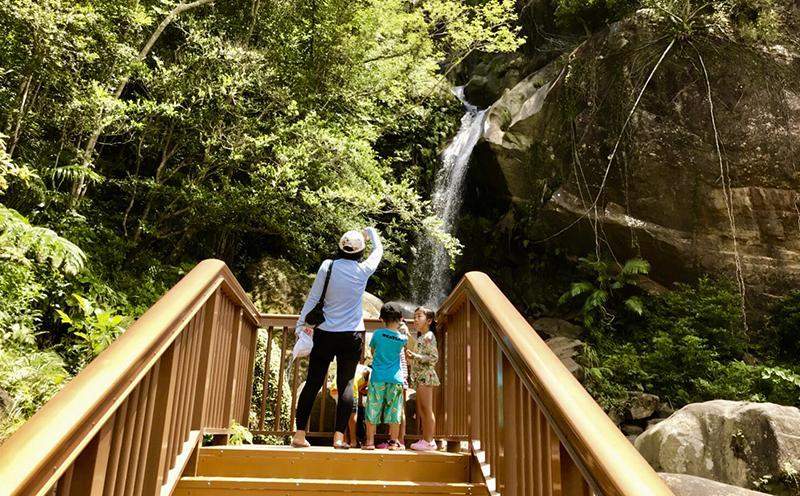 【ハイシーズンプラン】子供だけのBus遠足７時間 沖縄の自然で五感体験！送り迎え付き｜★事前予約要★ チケット 券 体験 自然 リゾート 遠足 ふるさと納税 恩納村 沖縄 人気 おすすめ 送料無料