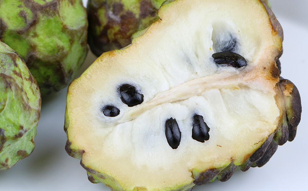 【2026年発送】恩納村産アテモヤ 約2kg