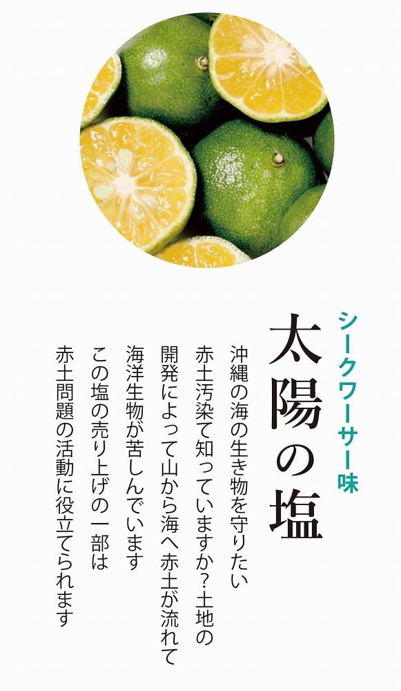 海塩 南の島恵み塩 ４種セット 160g（ 40g×4個 ）