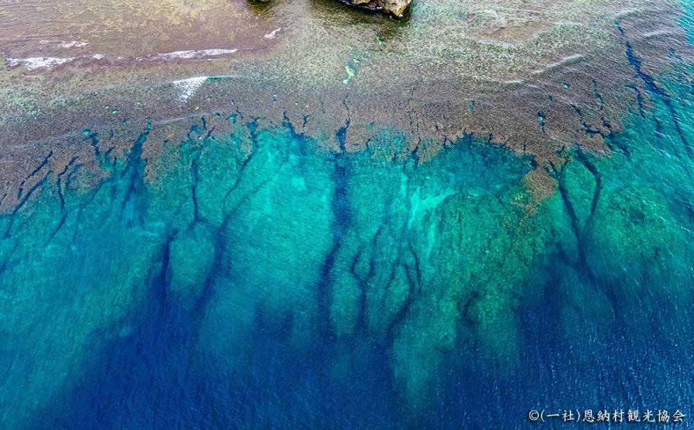 【返礼品なし】沖縄県恩納村ふるさと応援寄附金 20000円