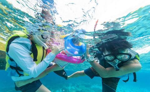 シュノーケル 体験 1名様【バナナボートで行くクマノミ城海の星探し】