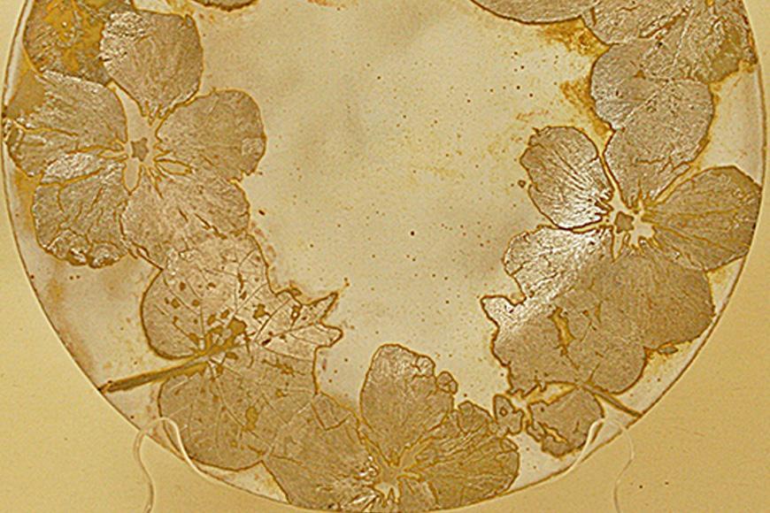 つづるガラスアート ゆうなの花 －HAKU－ 吉田栄美子 ｜ 特大大皿 1枚