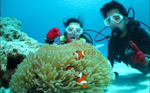 ボートで行く『青の洞窟&クマノミポイント』本格！体験ダイビング2本（3名様）