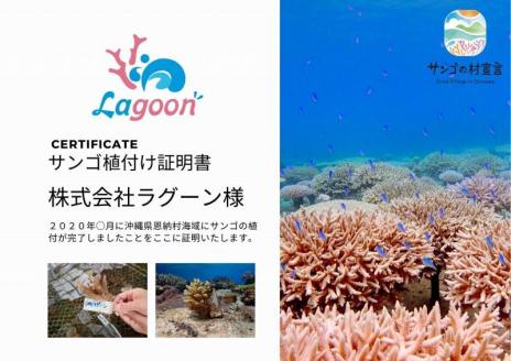 チケット サンゴ植付け ｜ 代行サービス 5株【恩納村ラグーン】