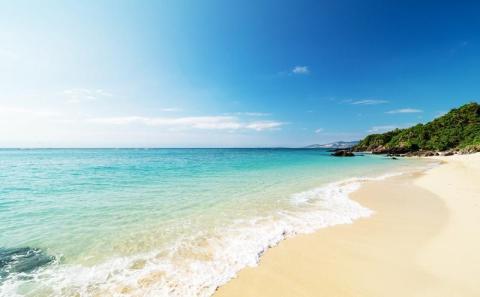 ホテルカラカウア シングルルーム 1名様 宿泊券 1泊（素泊まり）