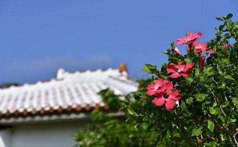 チケット 土・日・祝日 ゴルフプレー券 2名  (恩納村・1ラウンド ) 【美らオーチャードゴルフ倶楽部】