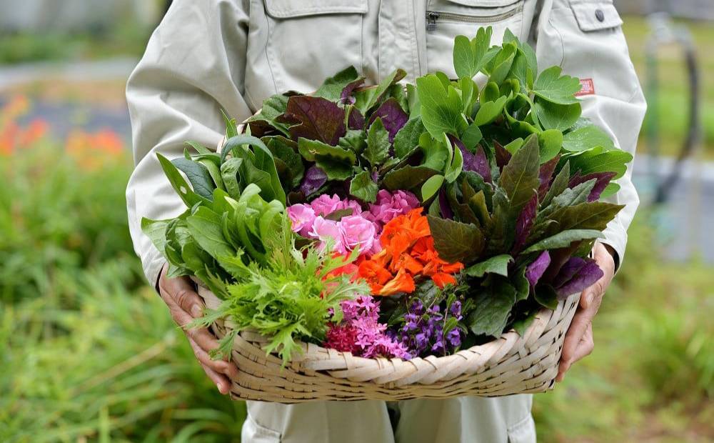 ジ・アッタテラス クラブタワーズ クラブラグジュアリー 1泊朝食付 宿泊券