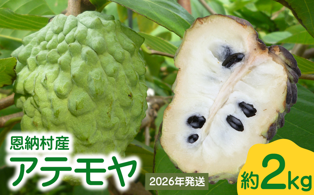 【2026年発送】恩納村産アテモヤ 約2kg