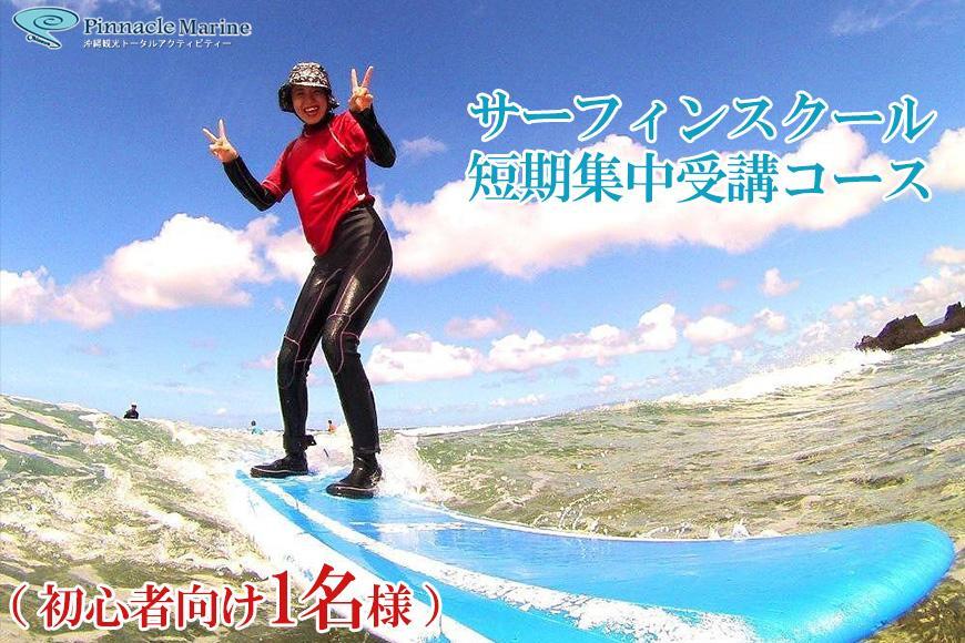 サーフィンスクール1セッション受講コース【初心者向け1名様】｜ピナクル