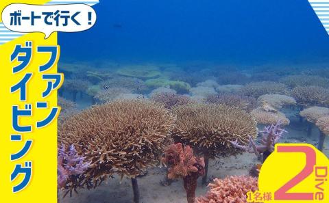 ボートで行く！ファンダイビング（2Dive）