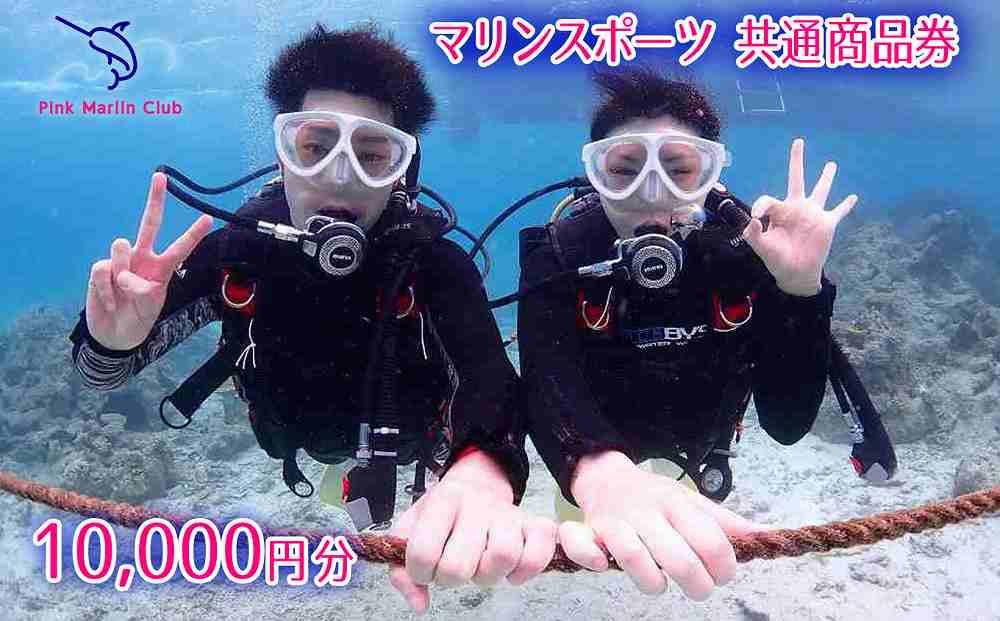 チケット 体験利用券 マリンスポーツ 共通商品券 10,000円分｜ピンクマーリンクラブ シュノーケル ダイビング ライセンス リゾート 沖縄県 恩納村 ふるさと納税 券 人気 おすすめ 送料無料