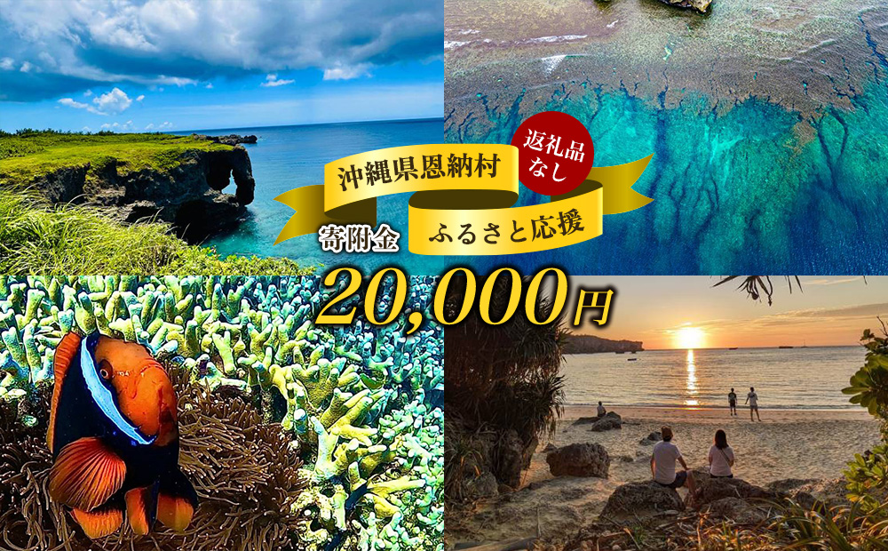【返礼品なし】沖縄県恩納村ふるさと応援寄附金 20000円