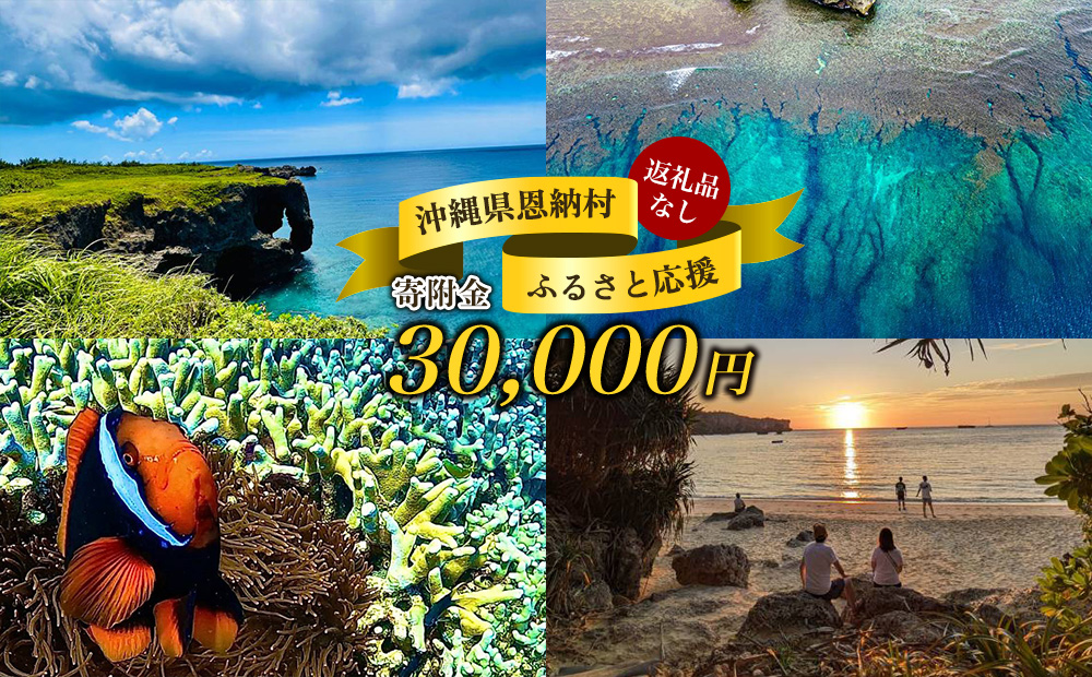 【返礼品なし】沖縄県恩納村ふるさと応援寄附金 30000円