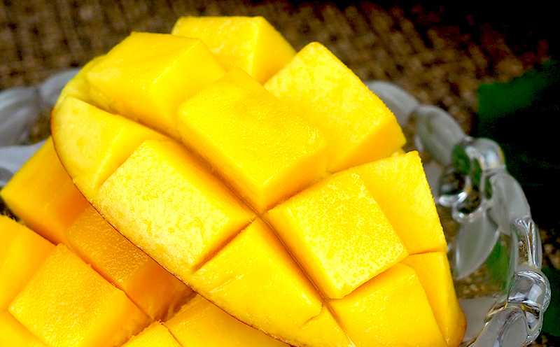 【2026年発送】久志マンゴー農園のアップルマンゴー家庭用（約2kg） アーウィン 果物 甘い 夏 濃厚 ギフト Mango ランキング 完熟 お気に入り 美味しい 人気 おすすめ フルーツ 沖縄県 先行予約 食品 デザート 産地直送 送料無料