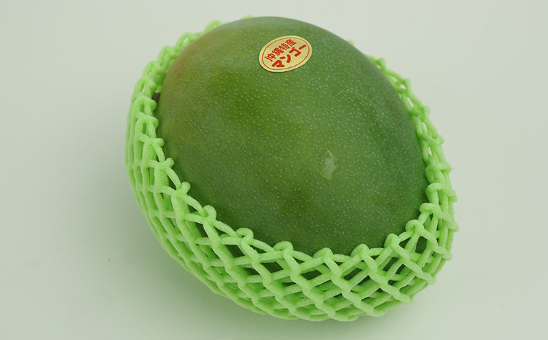 【2026年発送】農園直送！宜野座村　仲栄真さんのキーツマンゴー1玉（800g以上） フルーツ 甘い 美味しい 特徴 香り お取り寄せ Mango ランキング 大きい 希少 贈り物 ビタミン おすすめ 贅沢 栄養価 国産 沖縄県 人気 産地直送 送料無料