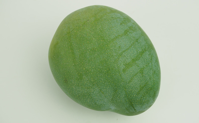 【2026年発送】農園直送！宜野座村　久志マンゴー農園のキーツマンゴー1玉（800g以上） フルーツ 甘い 美味しい 特徴 香り お取り寄せ Mango ランキング 大きい 希少 贈り物 ビタミン おすすめ 贅沢 栄養価 国産 沖縄県 人気 産地直送 送料無料