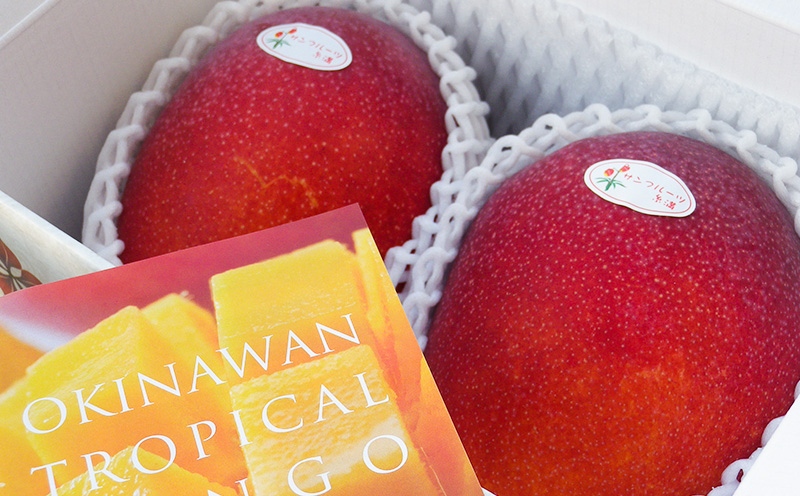 【2026年発送】糖度15度以上！サンフルーツ糸満のマンゴー優品　約1kg 産地直送 先行予約 フルーツ 果物 くだもの アップルマンゴー アップル アーウィン種 濃厚 デザート 贅沢 旬の果物 甘い おすすめ プレゼント 贈答 冷蔵 国産 沖縄 沖縄県産