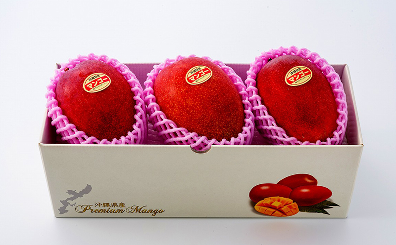 【2026年発送】令和6年最優秀賞サンライズファームのマンゴー贈答用　約1kg アーウィン 果物 甘い 夏 濃厚 ギフト Mango ランキング 完熟 お気に入り 収穫 人気 甘味 フルーツ 沖縄県 国産 食品 デザート 産地直送 宜野座村