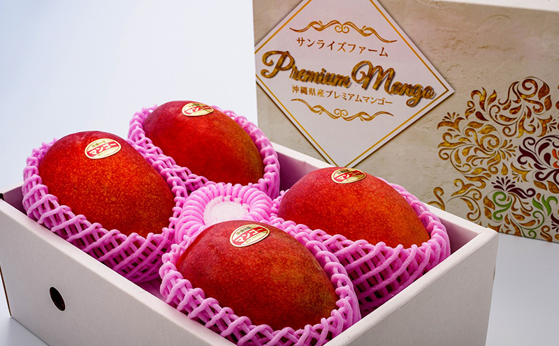 【2026年発送】令和6年最優秀賞サンライズファームのマンゴー贈答用　約2kg アーウィン 果物 甘い 夏 濃厚 ギフト Mango ランキング 完熟 お気に入り 収穫 人気 甘味 フルーツ 沖縄県 国産 食品 デザート 産地直送 宜野座村