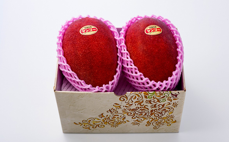 【2026年発送】令和6年最優秀賞サンライズファームのマンゴー大玉2玉1.2kg以上　贈答用 アーウィン 果物 甘い 夏 濃厚 ギフト Mango ランキング 完熟 お気に入り 収穫 人気 甘味 フルーツ 沖縄県 国産 食品 デザート 産地直送 宜野座村