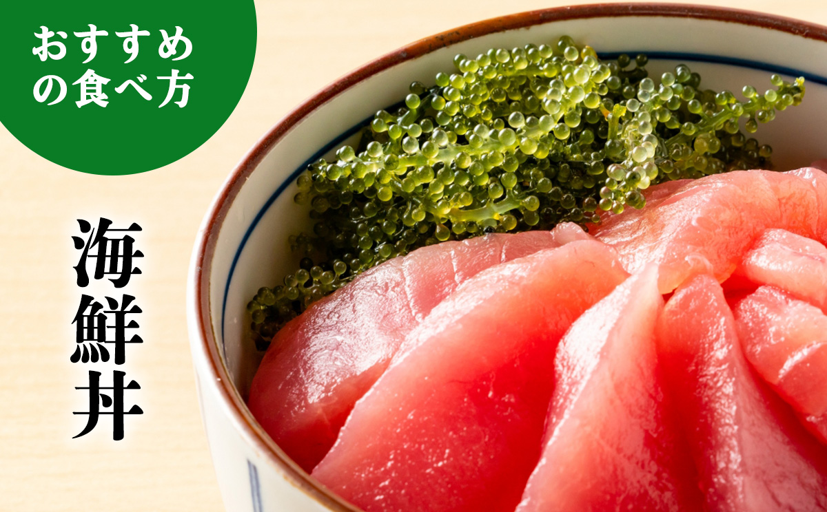 【2026年発送】宜野座村の海ぶどう（100g×5パック） うみぶどう ウミブドウ ぷちぷち プチプチ グリーンキャビア クビレズタ シーグレープ はじける 弾ける 食感 爽やか 磯の香り 海藻 新鮮 酢の物 サラダ トッピング 海鮮丼 沖縄 宜野座村