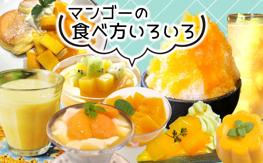 【2026年発送】ご家庭用マンゴー 約2kg【宜野座村産】 沖縄 南国 先行予約 期間限定 マンゴー 果物 くだもの フルーツ 果実 家庭用 自宅用 濃厚 甘い 芳醇 夏