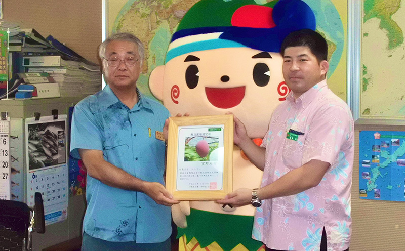 【2026年発送】マンゴーの拠点産地「宜野座村」の家庭用アップルマンゴー（約2kg） アーウィン 果物 甘い 夏 濃厚 お取り寄せ Mango ランキング 完熟 お気に入り 美味しい 人気 おすすめ 地元 沖縄県 先行予約 南国フルーツ デザート 産地直送 送料無料