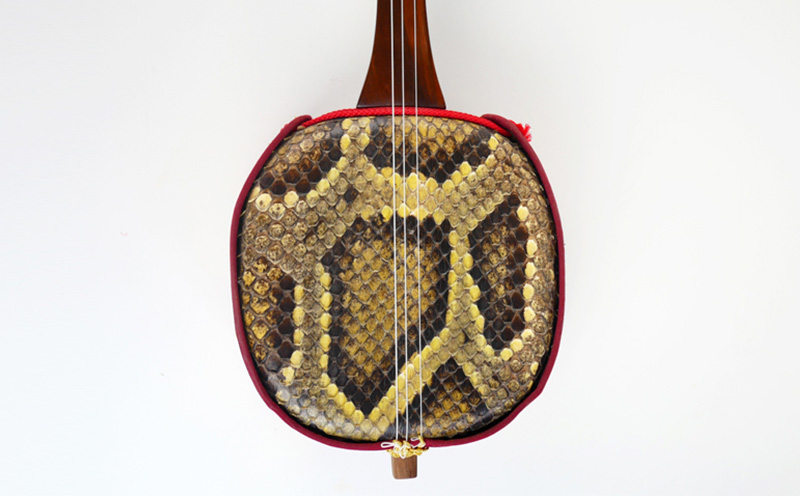 「屋良三線屋」の沖縄産クロユシギ三線