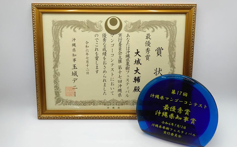 【2026年発送】令和6年最優秀賞サンライズファームのマンゴー大玉2玉1.2kg以上　贈答用 アーウィン 果物 甘い 夏 濃厚 ギフト Mango ランキング 完熟 お気に入り 収穫 人気 甘味 フルーツ 沖縄県 国産 食品 デザート 産地直送 宜野座村