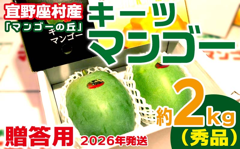 【2026年発送】贈答用　宜野座村産キーツマンゴー「マンゴーの丘」秀品　約2kg フルーツ 甘い 美味しい 特徴 香り お取り寄せ Mango デザート 大きい 希少 贈り物 ビタミン おすすめ 贅沢 栄養価 国産 沖縄県 人気 産地直送 送料無料