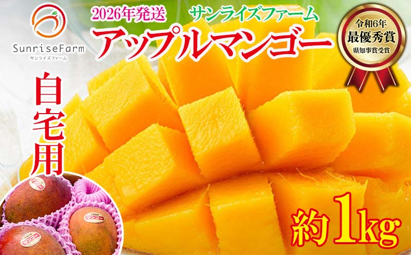 【2026年発送】サンライズファームのご自宅用マンゴー 約1kg（2～3玉） アーウィン 果物 甘い 夏 濃厚 ギフト Mango ランキング 完熟 お気に入り 収穫 人気 甘味 フルーツ 沖縄県 国産 食品 デザート 産地直送 宜野座村