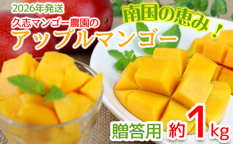 【2026年発送】南国の恵み！久志マンゴー農園のアップルマンゴー贈答用（約1kg） アーウィン 果物 甘い 夏 濃厚 ギフト Mango ランキング 完熟 お気に入り 美味しい 人気 おすすめ フルーツ 沖縄県 先行予約 食品 デザート 産地直送 送料無料