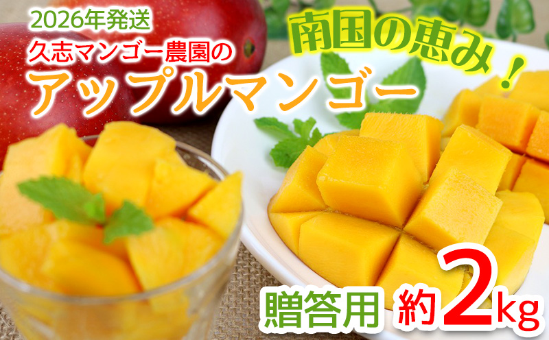 【2026年発送】南国の恵み！久志マンゴー農園のアップルマンゴー贈答用（約2kg） アーウィン 果物 甘い 夏 濃厚 ギフト Mango ランキング 完熟 お気に入り 美味しい 人気 甘味 フルーツ 沖縄県 先行予約 食品 デザート 産地直送 送料無料