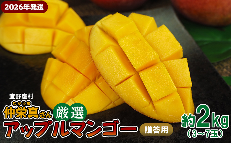 【2026年発送】宜野座村　仲栄真さん厳選アップルマンゴー贈答用（約2kg） アーウィン 果物 甘い 夏 濃厚 お取り寄せ Mango ランキング 完熟 お気に入り 美味しい 人気 おすすめ フルーツ 沖縄県 先行予約 食品 デザート 産地直送 送料無料