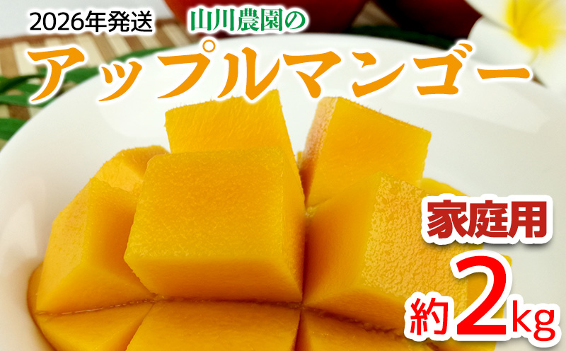 【2026年発送】山川農園のアップルマンゴー家庭用（約2kg） アーウィン 果物 甘い 夏 濃厚 お取り寄せ Mango ランキング 完熟 お気に入り 美味しい 人気 おすすめ フルーツ 沖縄県 南国 食品 デザート 産地直送 送料無料