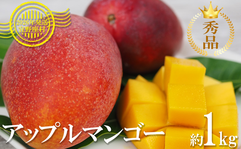 【2026年発送】マンゴーの拠点産地「宜野座村」の秀品アップルマンゴー（約1kg） アーウィン 果物 甘い 夏 濃厚 ギフト Mango ランキング 完熟 お気に入り 美味しい 人気 おすすめ 地元 沖縄県 先行予約 南国フルーツ デザート 産地直送 送料無料