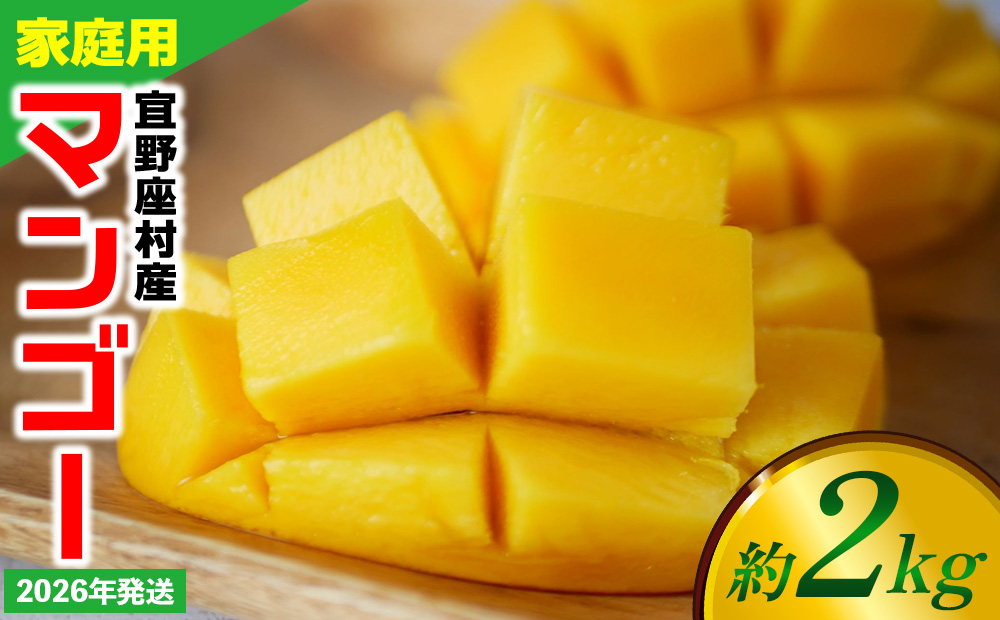 【2026年発送】ご家庭用マンゴー 約2kg【宜野座村産】 沖縄 南国 先行予約 期間限定 マンゴー 果物 くだもの フルーツ 果実 家庭用 自宅用 濃厚 甘い 芳醇 夏