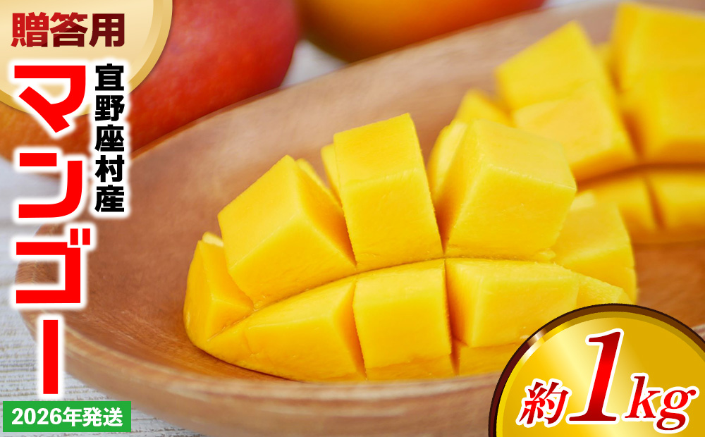 【2026年発送】贈答用マンゴー 約1kg【宜野座村産】 沖縄 南国 先行予約 期間限定 マンゴー 果物 くだもの フルーツ 果実 家庭用 自宅用 濃厚 甘い 芳醇 夏