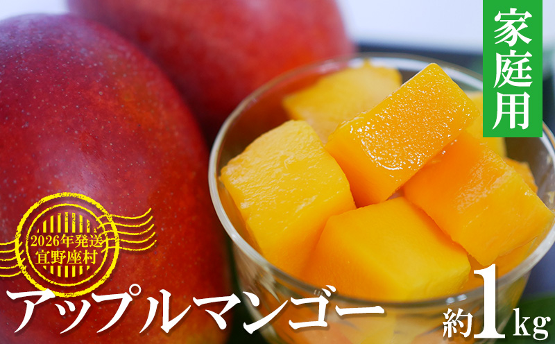 【2026年発送】マンゴーの拠点産地「宜野座村」の家庭用アップルマンゴー（約1kg） アーウィン 果物 甘い 夏 濃厚 お取り寄せ Mango ランキング 完熟 お気に入り 美味しい 人気 おすすめ 地元 沖縄県 先行予約 南国フルーツ デザート 産地直送 送料無料