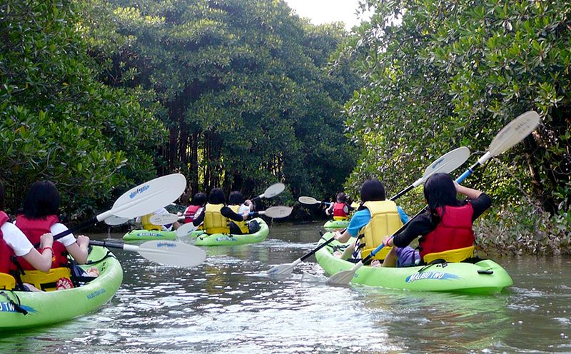 億首川マングローブ・カヌー体験【1名】