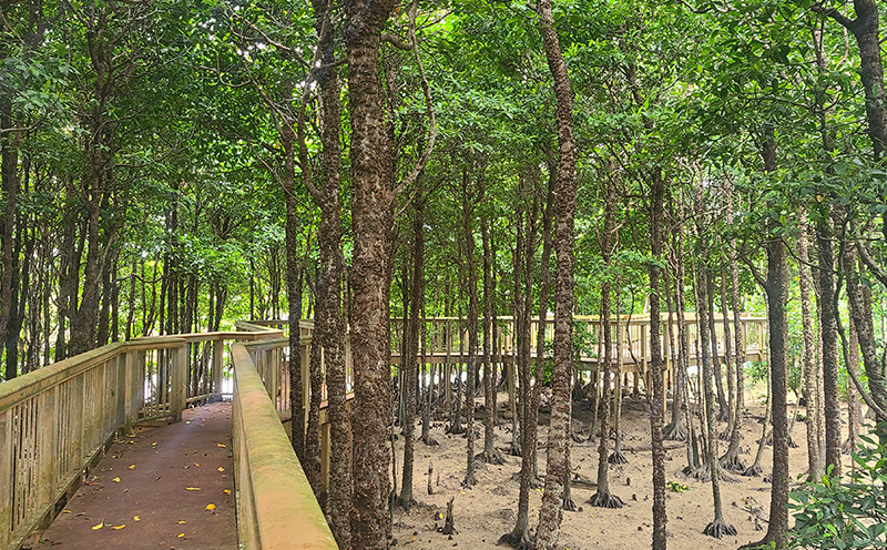 車椅子で金武町の自然と歴史とフードを満喫する我らが家は五大州5時間コース 安全第一 プロの運転技術 車椅子対応 事故防止 安全管理 丁寧な運転 安心サポート 快適 リラックス 思いやり 丁寧な接客 利用者目線 柔軟な対応 柔軟 スムーズ 地域密着 地元で 信頼のおける 家族も安心 高評価