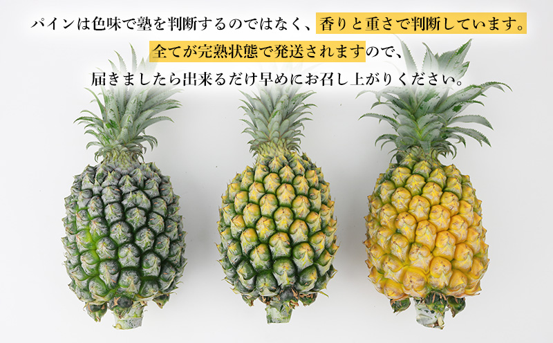 2026年発送【数量限定】ひとくちぼれ 金武町のすぐりむん（極上）パイン 6玉 パイナップル ぱいなっぷる パインアップル ぱいんあっぷる 国産 ギフト ボゴール スナック パイン 夏 贈答品 贈り物 プレゼント フレッシュ 土産 お取り寄せ フルーツ 果物 沖縄 金武町