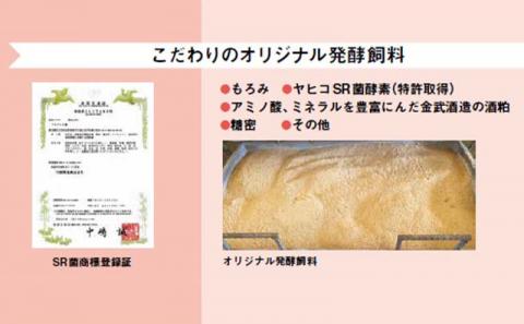 金アグー　肩ロース（スライス）・ハンバーグセット