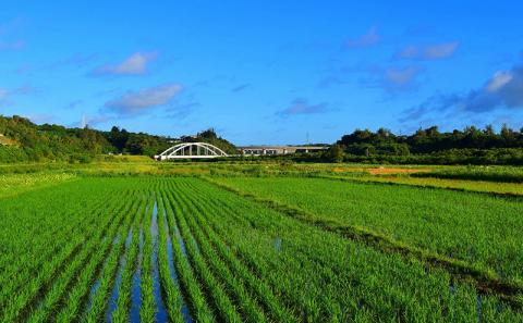 新発見がいっぱい！　金武町　専門家による野鳥ガイド