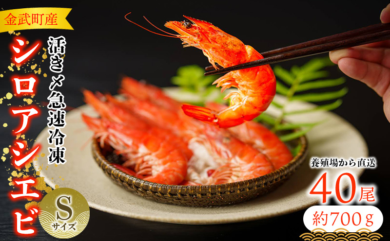 【養殖場から直送】活き〆急速冷凍 金武町産 シロアシエビ　Sサイズ （バナメイエビ） 海老 海鮮 魚介類 海産物 シーフード ギフト 美味 料理 国産えび エビフライ 寿司 海鮮 刺身 フリット フレンチ 特別な 養殖 人気 産地直送 送料無料
