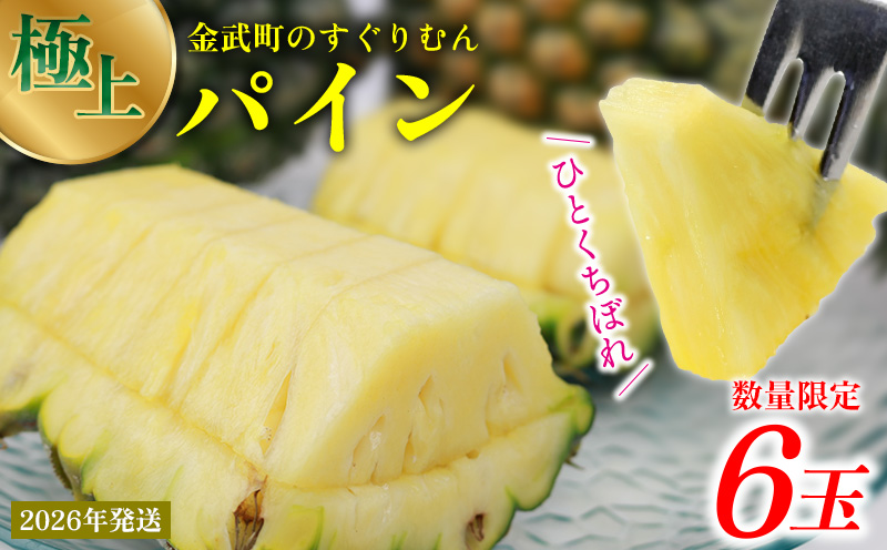 2026年発送【数量限定】ひとくちぼれ 金武町のすぐりむん（極上）パイン 6玉 パイナップル ぱいなっぷる パインアップル ぱいんあっぷる 国産 ギフト ボゴール スナック パイン 夏 贈答品 贈り物 プレゼント フレッシュ 土産 お取り寄せ フルーツ 果物 沖縄 金武町